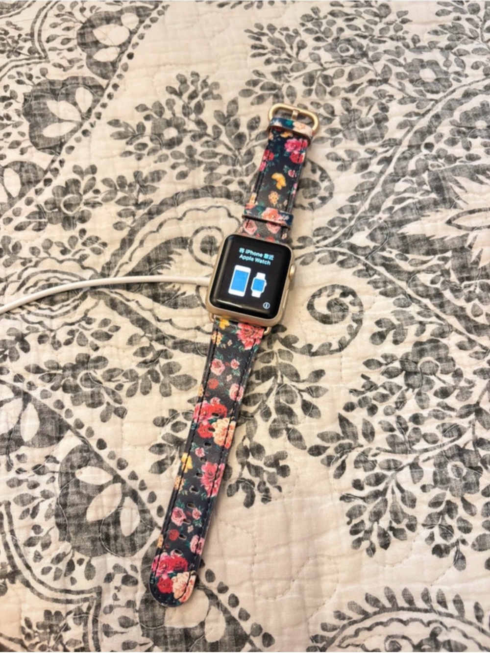Apple Watch SE 1 2020 model 38 mm